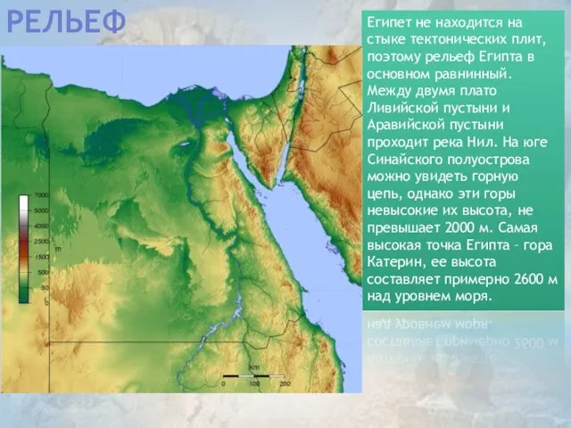 Рельеф Египет не находится на стыке тектонических плит, поэтому рельеф Египта в