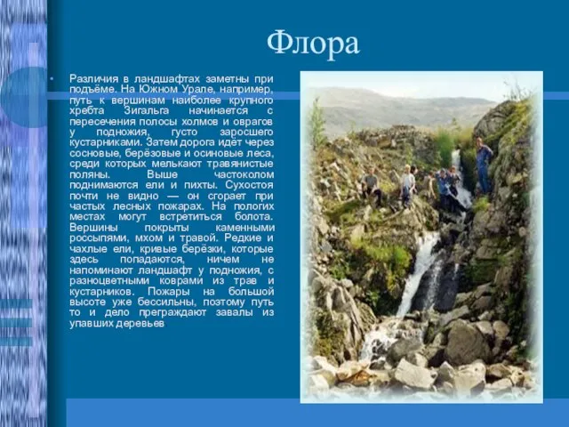 Флора Различия в ландшафтах заметны при подъёме. На Южном Урале, например, путь