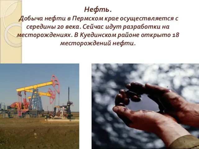 Нефть. Добыча нефти в Пермском крае осуществляется с середины 20 века. Сейчас