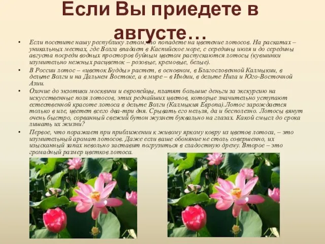 Если Вы приедете в августе… Если посетите нашу республику летом, то попадете