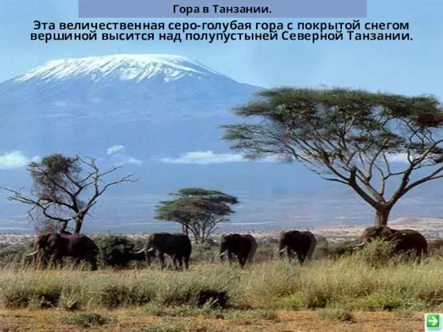 Эта величественная серо-голубая гора с покрытой снегом вершиной высится над полупустыней Северной Танзании.