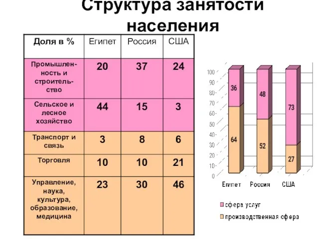 Структура занятости населения