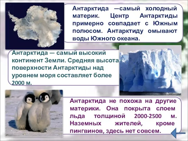 Антарктида не похожа на другие материки. Она покрыта слоем льда толщиной 2000-2500