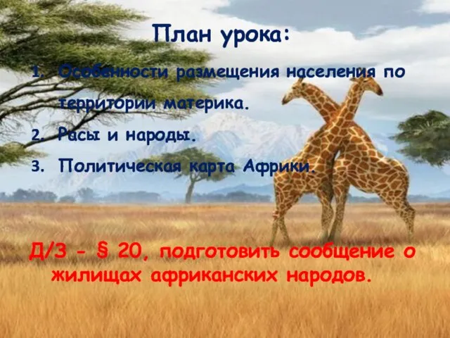 План урока: Особенности размещения населения по территории материка. Расы и народы. Политическая