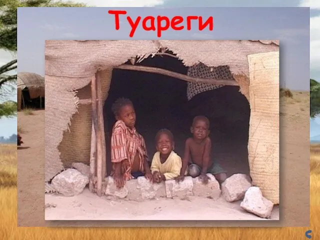 Туареги