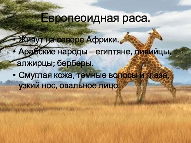 Европеоидная раса. Живут на севере Африки. Арабские народы – египтяне, ливийцы, алжирцы;