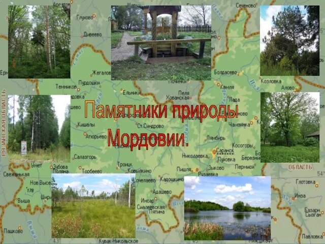 Памятники природы Мордовии. Памятники природы Мордовии.