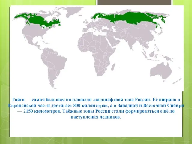 ГЕОГРАФИЧЕСКОЕ ПОЛОЖЕНИЕ: Тайга — самая большая по площади ландшафтная зона России. Её