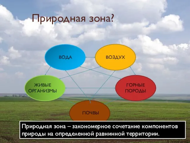 Природная зона? ВОДА ВОЗДУХ ГОРНЫЕ ПОРОДЫ ПОЧВЫ ЖИВЫЕ ОРГАНИЗМЫ Природная зона –