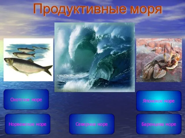 Продуктивные моря Северное море Охотское море Японское море Норвежское море Баренцева море