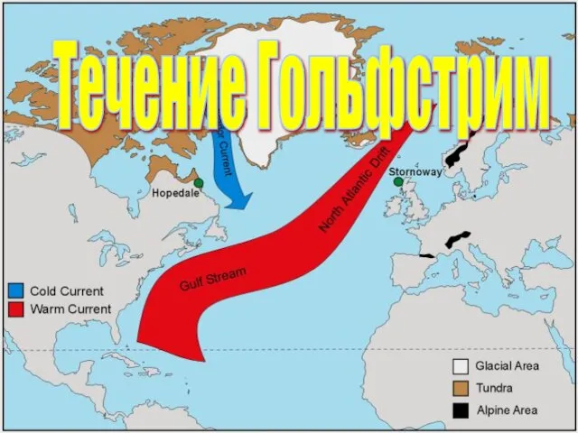 Презентация на тему Течение Гольфстрим