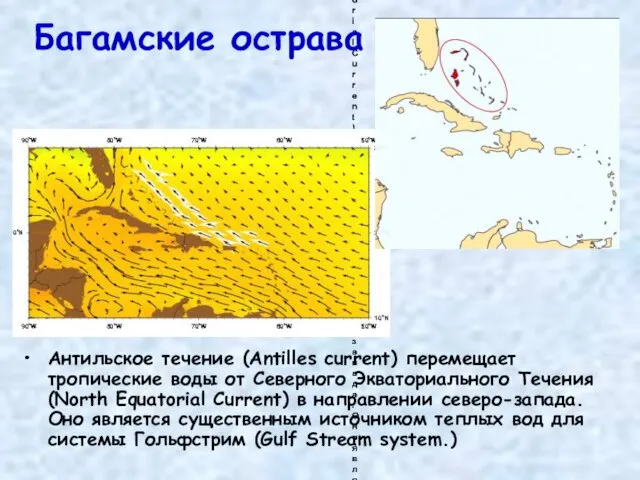 Антильское течение (Antilles current) перемещает тропические воды от Северного Экваториального Течения (North