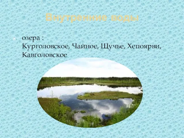 Внутренние воды озера : Курголовское, Чайное, Щучье, Хепоярви, Кавголовское