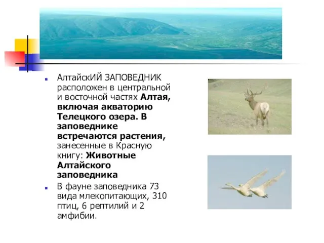 АлтайскИЙ ЗАПОВЕДНИК расположен в центральной и восточной частях Алтая, включая акваторию Телецкого