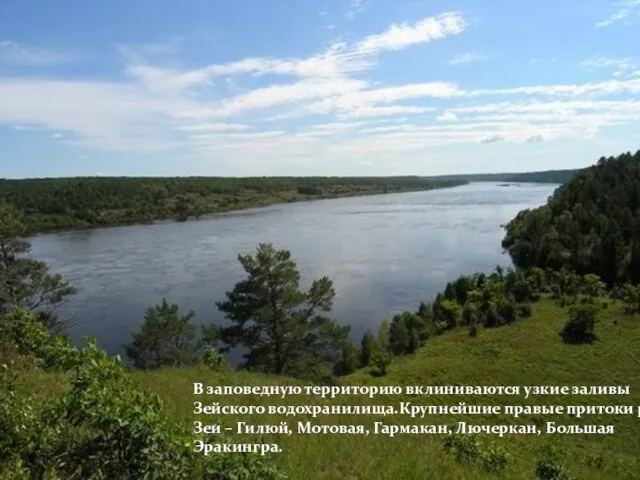 В заповедную территорию вклиниваются узкие заливы Зейского водохранилища.Крупнейшие правые притоки р.Зеи –