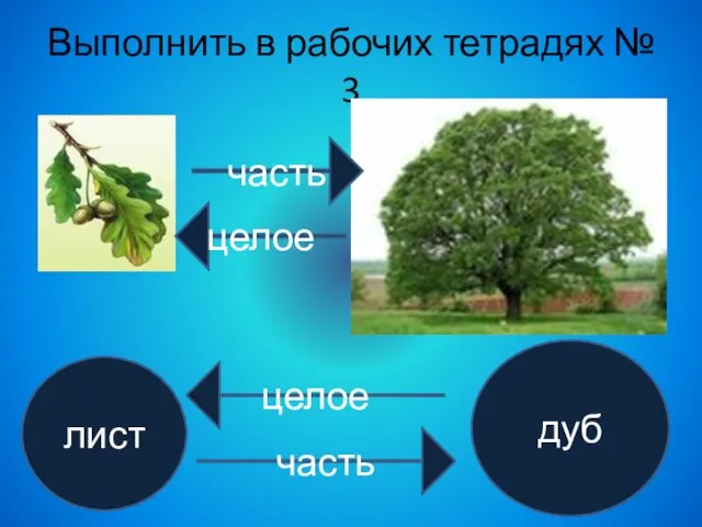 Выполнить в рабочих тетрадях № 3 целое часть лист дуб целое часть