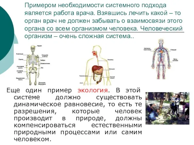 Примером необходимости системного подхода является работа врача. Взявшись лечить какой – то