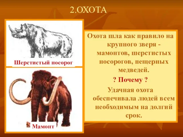 Охота шла как правило на крупного зверя - мамонтов, шерстистых носорогов, пещерных
