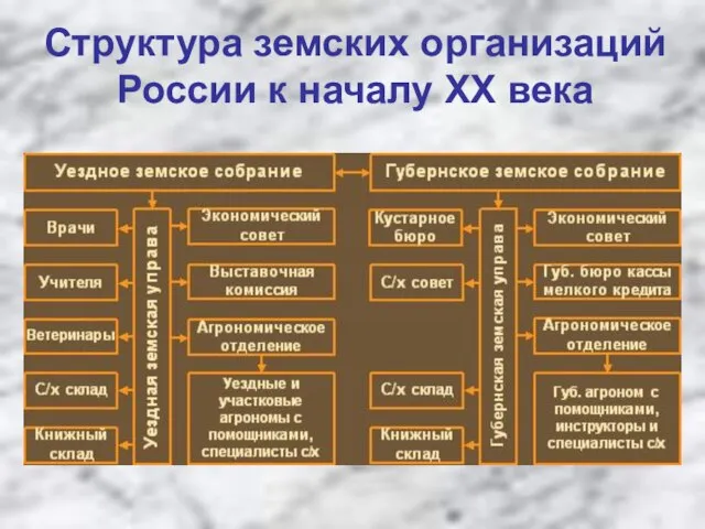 Структура земских организаций России к началу ХХ века