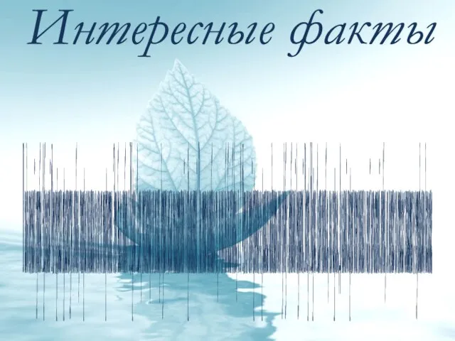 Интересные факты В годы военной службы Афанасий Фет пережил трагическую любовь, которая