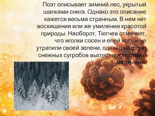 Поэт описывает зимний лес, укрытый шапками снега. Однако это описание кажется весьма