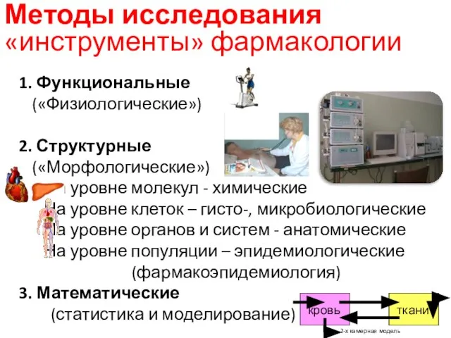 1. Функциональные («Физиологические») 2. Структурные («Морфологические») На уровне молекул - химические На