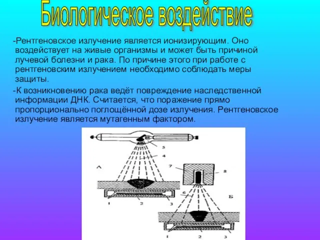 -Рентгеновское излучение является ионизирующим. Оно воздействует на живые организмы и может быть