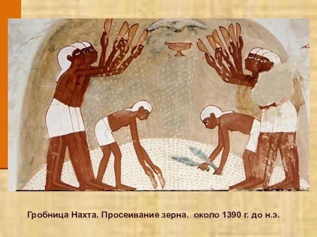 Гробница Нахта. Просеивание зерна. около 1390 г. до н.э.
