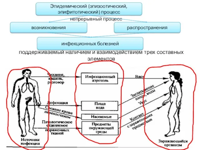 поддерживаемый наличием и взаимодействием трех составных элементов Эпидемический (эпизоотический, эпифитотический) процесс возникновения