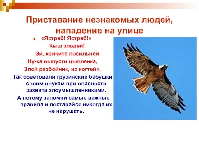 Приставание незнакомых людей, нападение на улице «Ястреб! Ястреб!» Кыш злодей! Эй, кричите