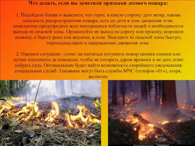 Что делать, если вы заметили признаки лесного пожара: 1. Подойдите ближе и