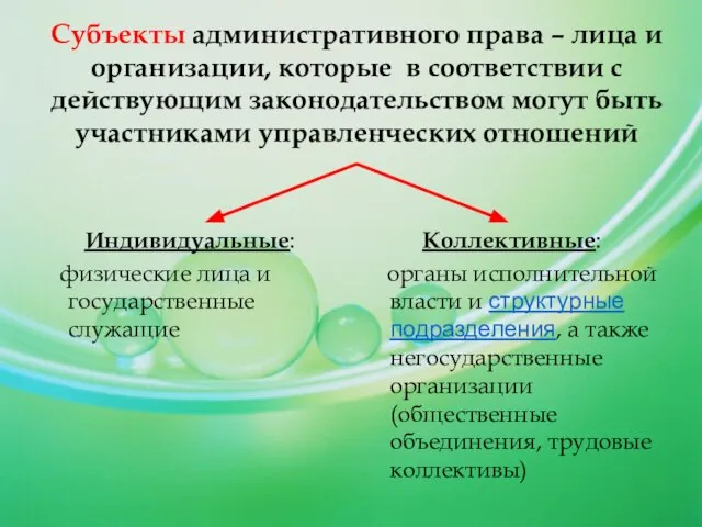 Субъекты административного права – лица и организации, которые в соответствии с действующим