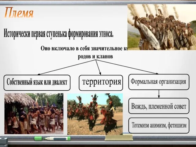 Племя Исторически первая ступенька формирования этноса. Оно включало в себя значительное количество