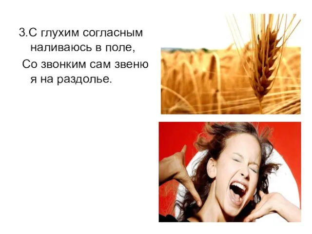 3.С глухим согласным наливаюсь в поле, Со звонким сам звеню я на раздолье.