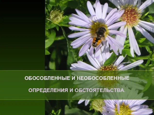 Презентация на тему ОБОСОБЛЕННЫЕ И НЕОБОСОБЛЕННЫЕ ОПРЕДЕЛЕНИЯ И ОБСТОЯТЕЛЬСТВА.