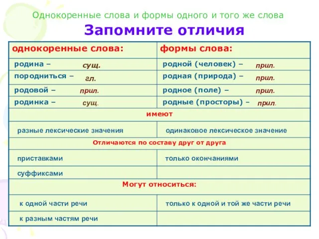 Однокоренные слова и формы одного и того же слова Запомните отличия сущ.