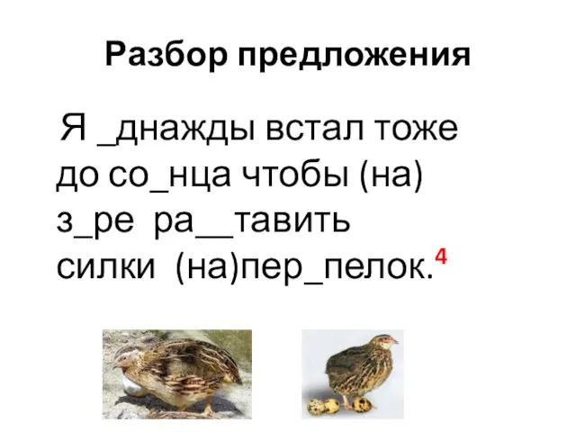 Разбор предложения Я _днажды встал тоже до со_нца чтобы (на)з_ре ра__тавить силки (на)пер_пелок.4