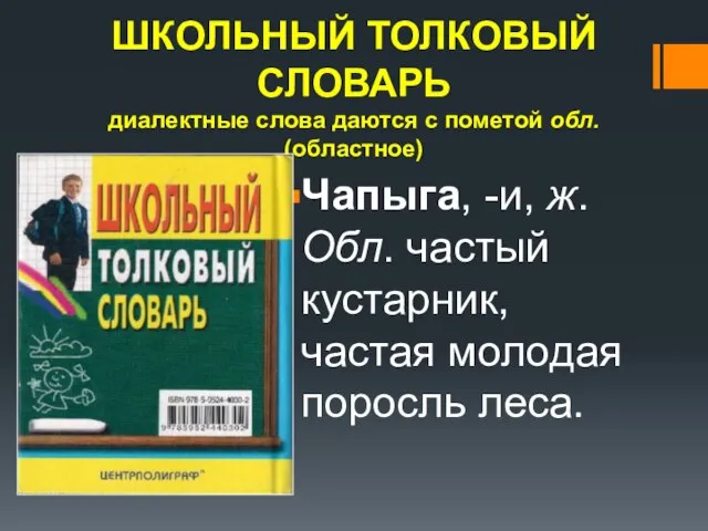 ШКОЛЬНЫЙ ТОЛКОВЫЙ СЛОВАРЬ диалектные слова даются с пометой обл. (областное) Чапыга, -и,