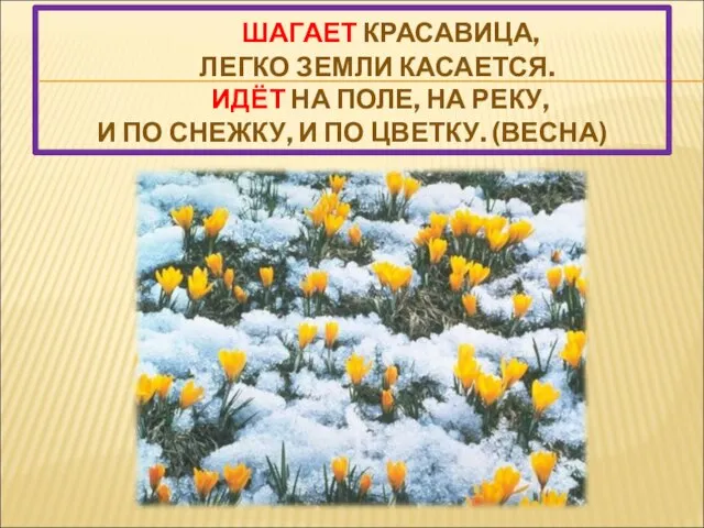 ШАГАЕТ КРАСАВИЦА, ЛЕГКО ЗЕМЛИ КАСАЕТСЯ. ИДЁТ НА ПОЛЕ, НА РЕКУ, И ПО