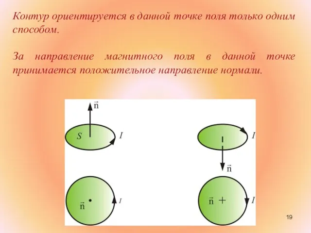 Контур ориентируется в данной точке поля только одним способом. За направление магнитного