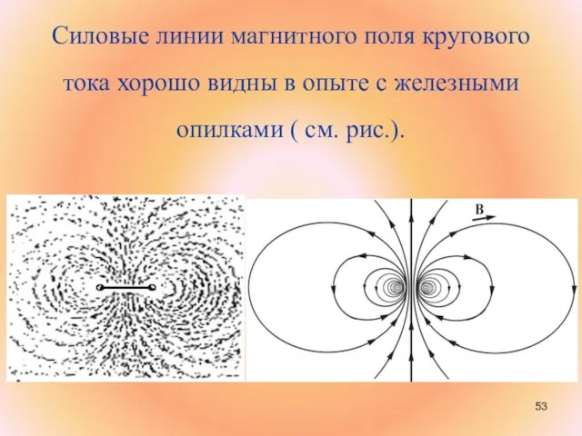 Силовые линии магнитного поля кругового тока хорошо видны в опыте с железными опилками ( см. рис.).