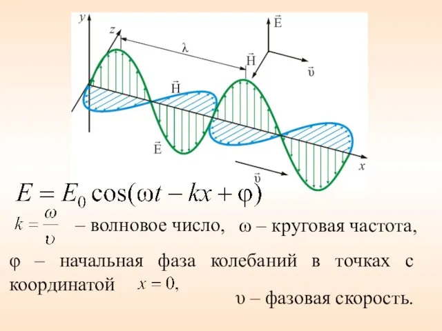 ω – круговая частота, φ – начальная фаза колебаний в точках с