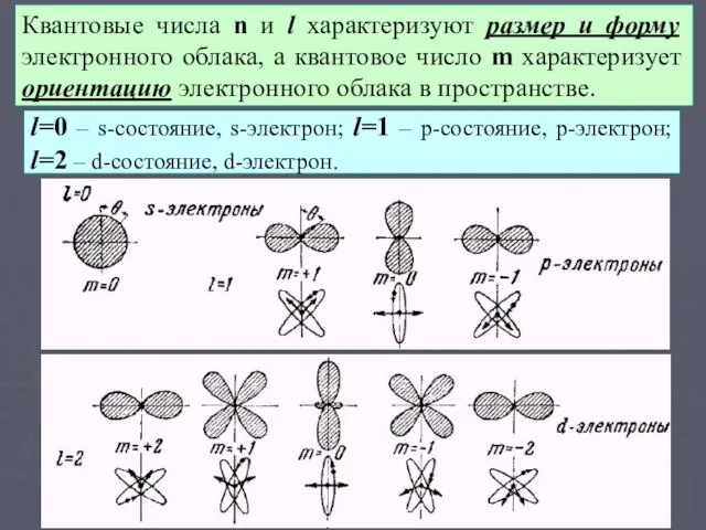 Квантовые числа n и l характеризуют размер и форму электронного облака, а