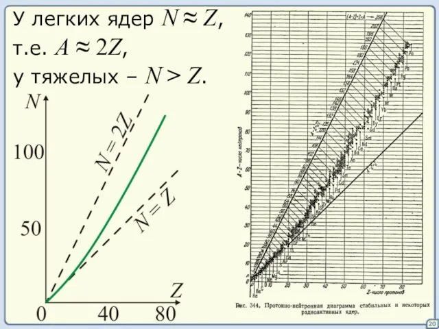 20 У легких ядер N ≈ Z, т.е. А ≈ 2Z, у