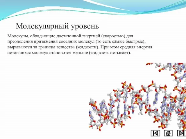 Молекулярный уровень Молекулы, обладающие достаточной энергией (скоростью) для преодоления притяжения соседних молекул