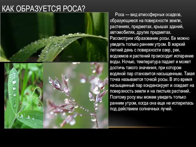 КАК ОБРАЗУЕТСЯ РОСА? Роса — вид атмосферных осадков, образующиеся на поверхности земли,