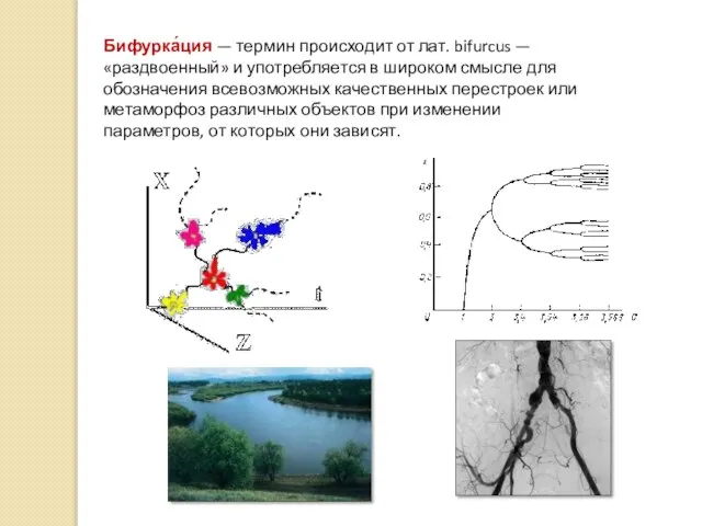 Бифурка́ция — термин происходит от лат. bifurcus — «раздвоенный» и употребляется в
