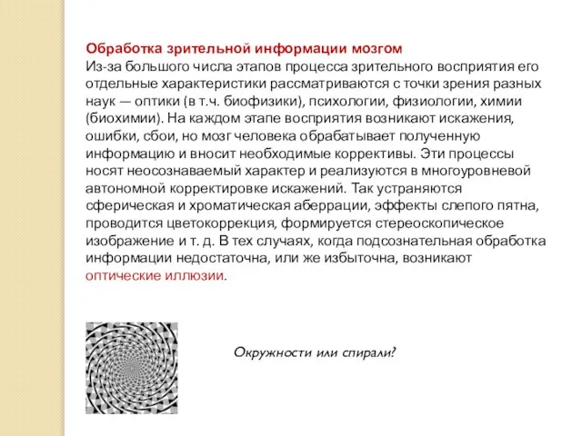 Окружности или спирали? Обработка зрительной информации мозгом Из-за большого числа этапов процесса