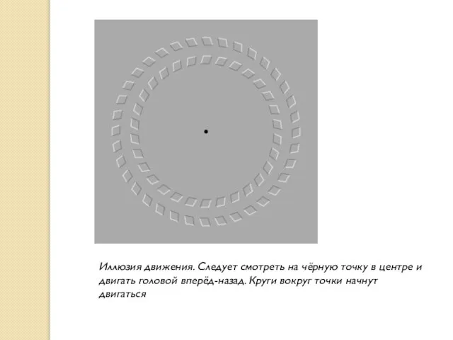 Иллюзия движения. Следует смотреть на чёрную точку в центре и двигать головой