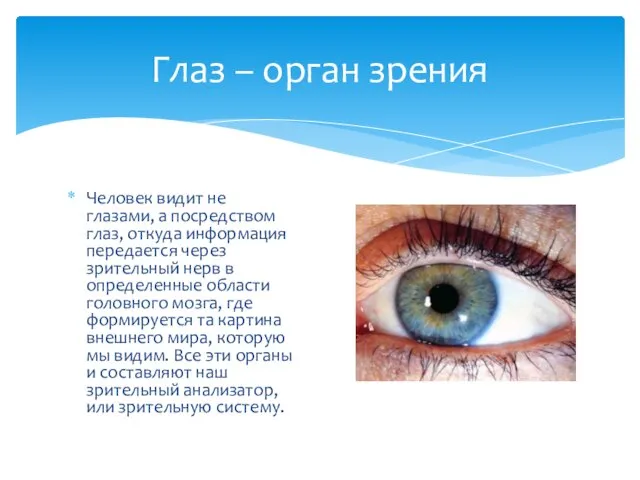 Человек видит не глазами, а посредством глаз, откуда информация передается через зрительный
